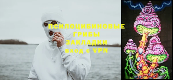 ешки Володарск